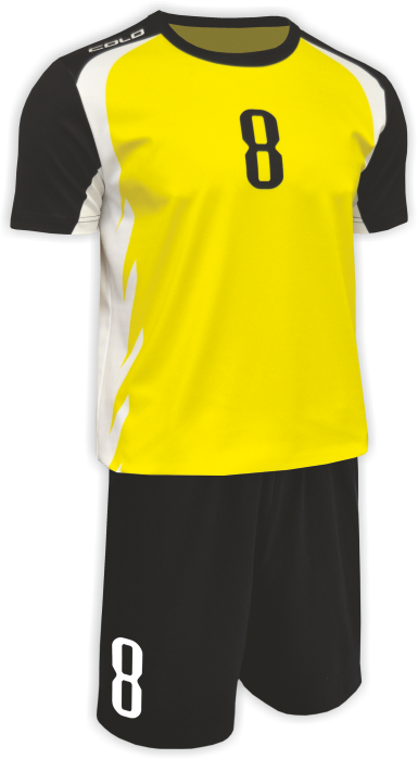 Volejbalový dres COLO CRANE