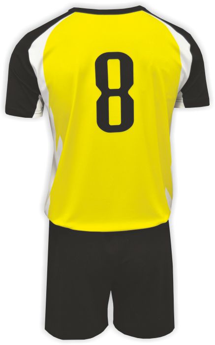Volejbalový dres COLO CRANE