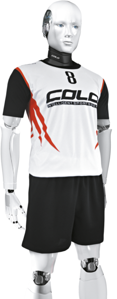 Volejbalový dres RAVEN, COLO
