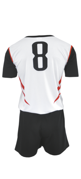 Volejbalový dres RAVEN, COLO