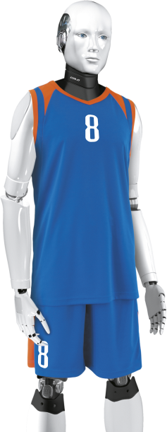 Basketbalový dres VANE, COLO