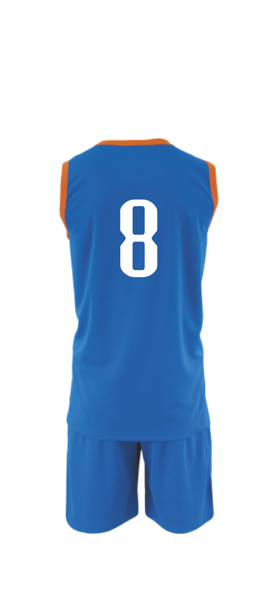 Basketbalový dres VANE, COLO