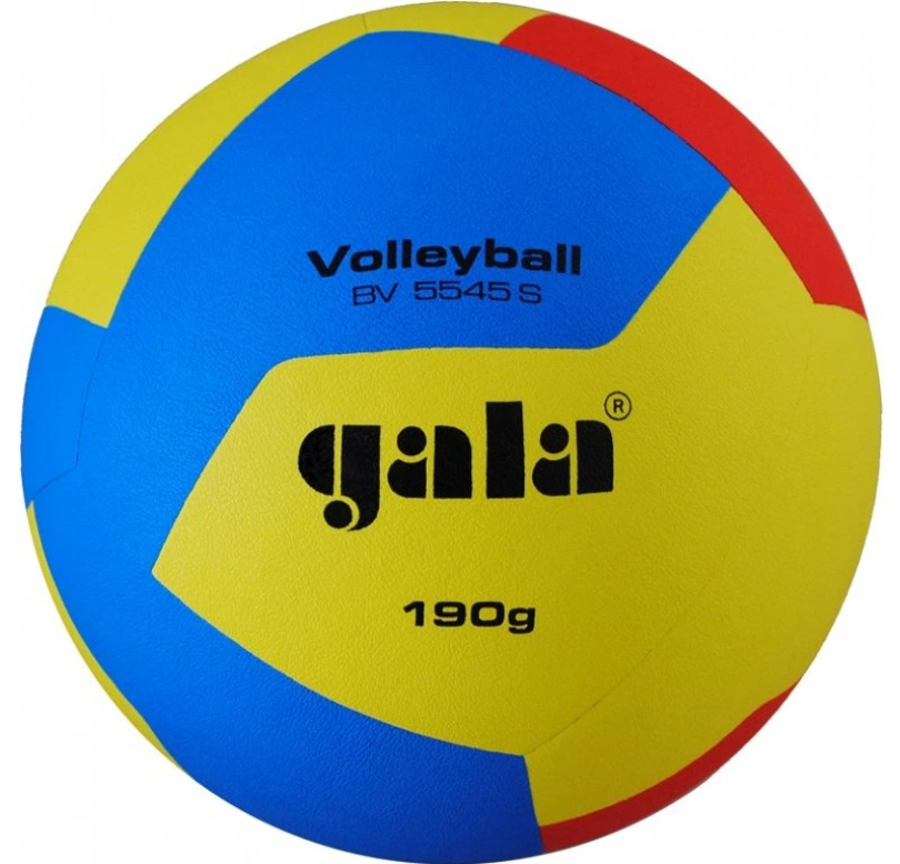Volejbalová lopta GALA BV5545S