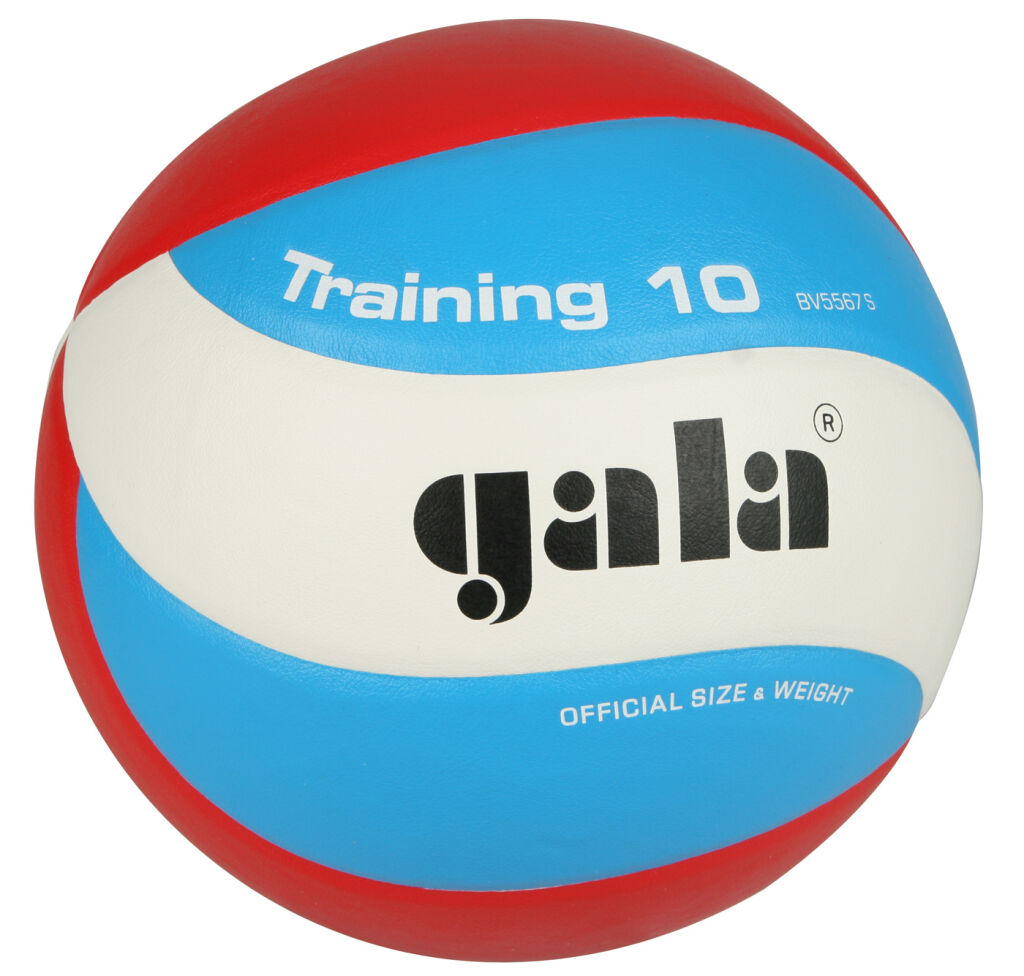 Volejbalová lopta GALA Training BV5567S