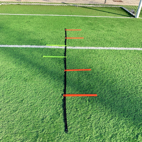 Brankársky koordinačný rebrík