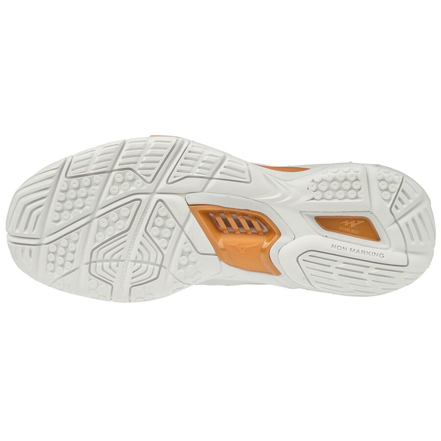 Mizuno Wave STEALTH V X1GB180052