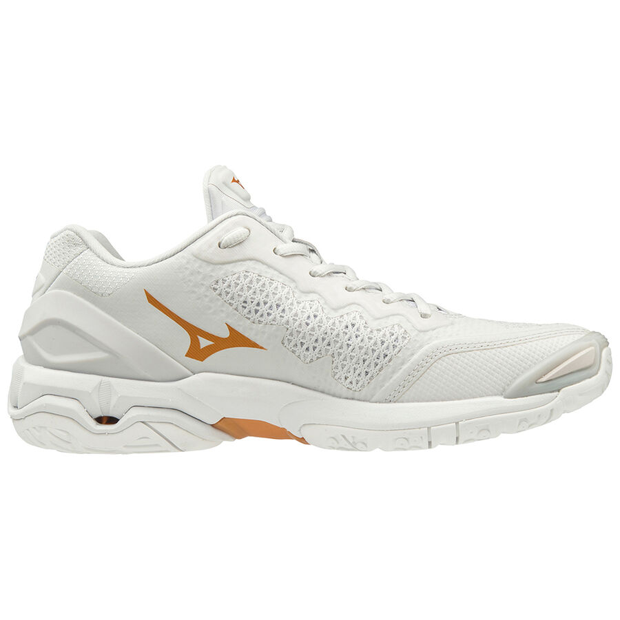 Mizuno Wave STEALTH V X1GB180052