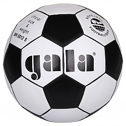 Nohejbalová lopta GALA BN5012S