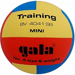 Volejbalová lopta GALA Training Mini BV4041S