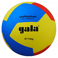 Volejbalová lopta GALA BV5555S