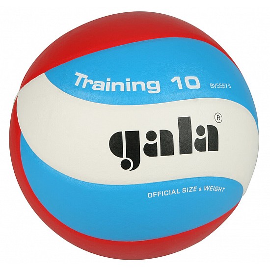 Volejbalová lopta GALA Training BV5567S