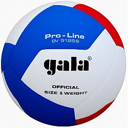 Volejbalová lopta GALA Pro Line - BV 5125S