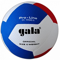 Volejbalová lopta GALA Pro Line - BV 5585 S