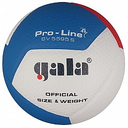 Volejbalová lopta GALA Pro Line - BV 5595S