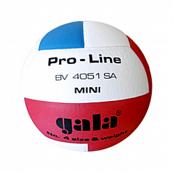 Volejbalová lopta GALA Pro Line Mini BV4051S