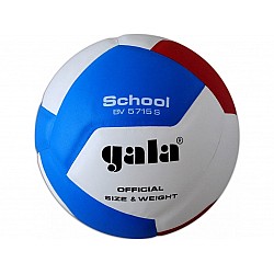 Volejbalová lopta GALA School BV55715S