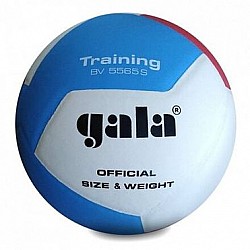 Volejbalová lopta GALA Training BV5565S