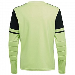 Adidas Squadra 25 Long Sleeve Jr Jersey JJ1940