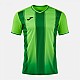 Dres JOMA TIGER VIII 105243.024
