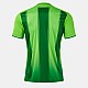 Dres JOMA TIGER VIII 105243.024