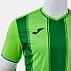 Dres JOMA TIGER VIII 105243.024