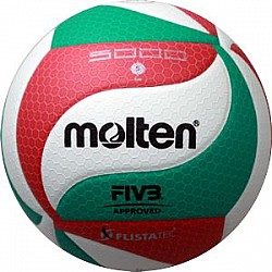 Volejbalová lopta Molten V5M 5000