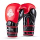 Boxerské rukavice DBX BUSHIDO Warrior RED