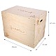 Plyo Box HMS DSC01