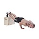 Plyo Box HMS DSC04