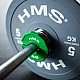 Progresivní přídavné kotouče HMS TSN25 2 x 0,25 kg