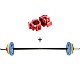 Set na Body Pump HMS SBP22 20kg