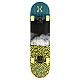 Skateboard NILS Extreme CR3108SA Brain
