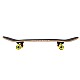 Skateboard NILS Extreme CR3108SA Brain