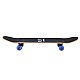 Skateboard NILS Extreme CR3108 SA Gravity