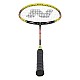 Badmintonový set NILS NRZ204