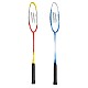 Badmintonový set WISH Alumtec 366k