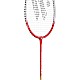 Badmintonový set WISH Alumtec 366k