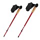 NW 802 NORDIC WALKING HOLE NILS EXTREME