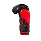 Boxerské rukavice DBX BUSHIDO ARB-415
