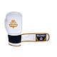Boxerské rukavice DBX BUSHIDO DBD-B-2