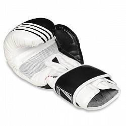 Boxerské rukavice DBX BUSHIDO B-2v3A