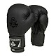 Boxerské rukavice DBX BUSHIDO B-2v12