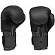 Boxerské rukavice DBX BUSHIDO B-2v12