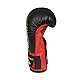 Boxerské rukavice DBX BUSHIDO ARB-407v3