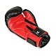 Boxerské rukavice DBX BUSHIDO ARB-407v3