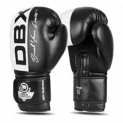 Boxerské rukavice DBX BUSHIDO B-2v20