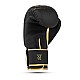 Boxerské rukavice DBX BUSHIDO Gold Dragon