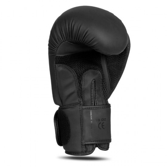 Boxerské rukavice DBX BUSHIDO B-2v21