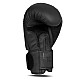 Boxerské rukavice DBX BUSHIDO B-2v21