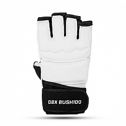 Rukavice na taekwondo DBX BUSHIDO DBX-T-1